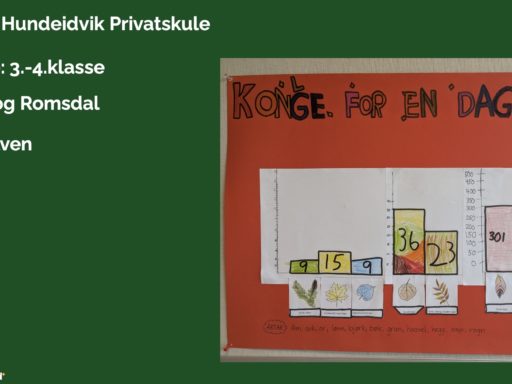 2. plass
